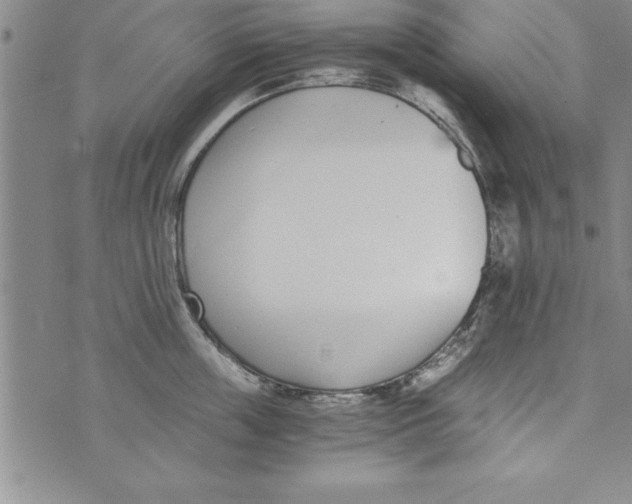 X0000073900859200609082146