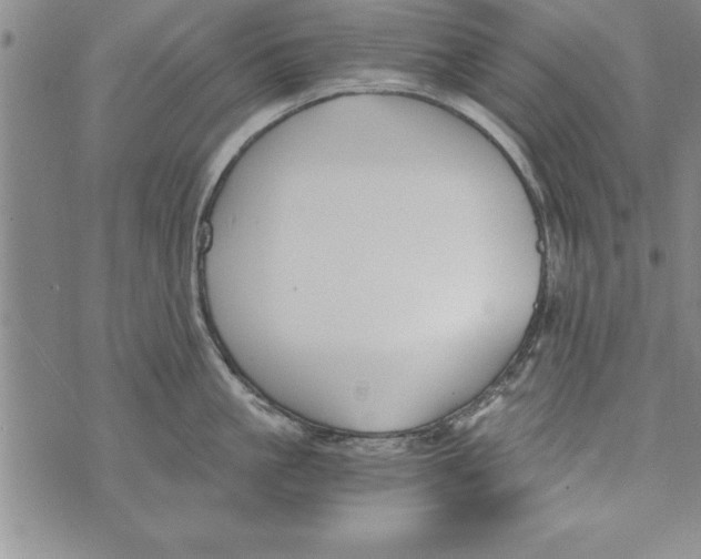 X0000073900861200609082146