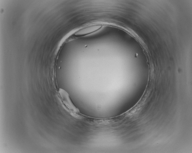 X0000073900862200609082146