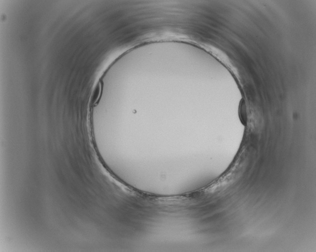 X0000073900863200609082146