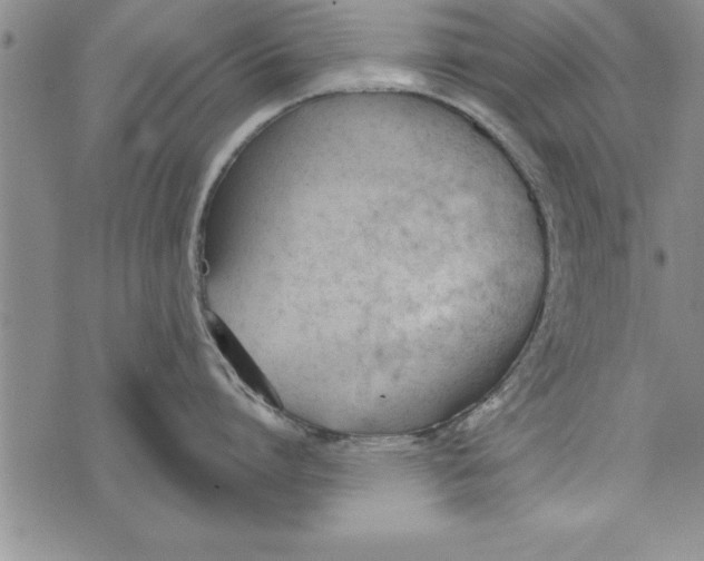 X0000073900864200609082146