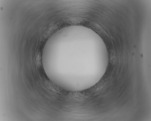 X0000073900866200609082145