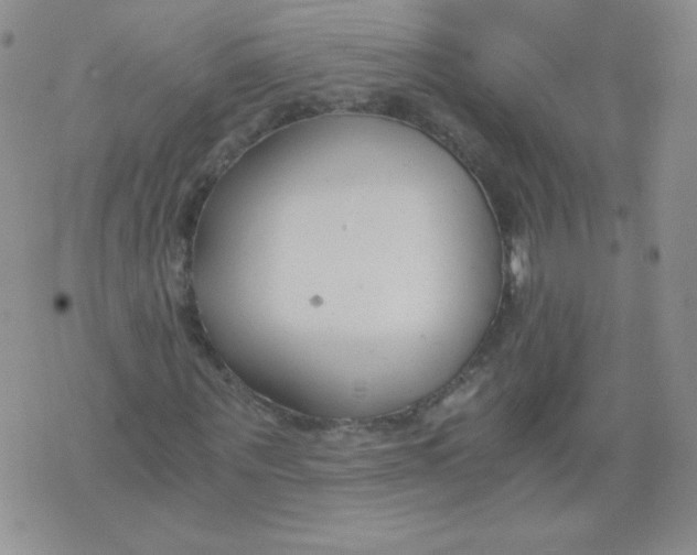 X0000073900867200609082145