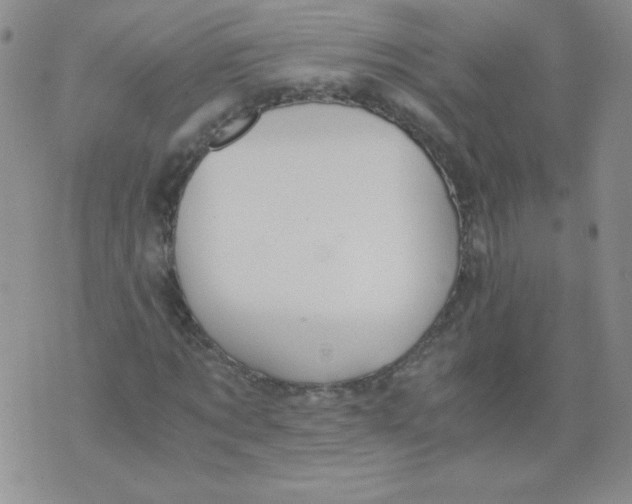 X0000073900869200609082145