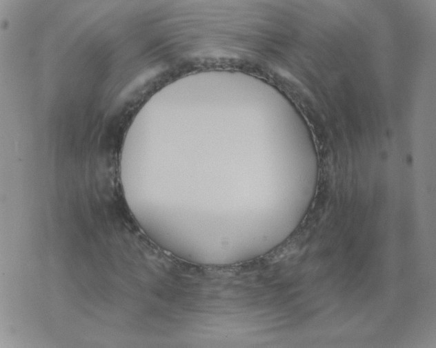 X0000073900870200609082145