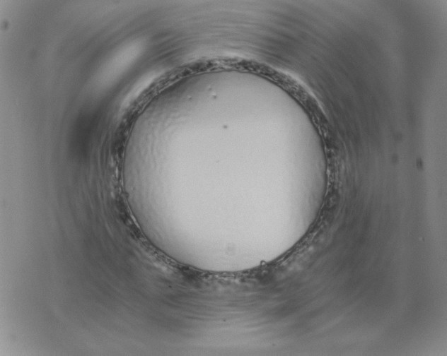 X0000073900871200609082145