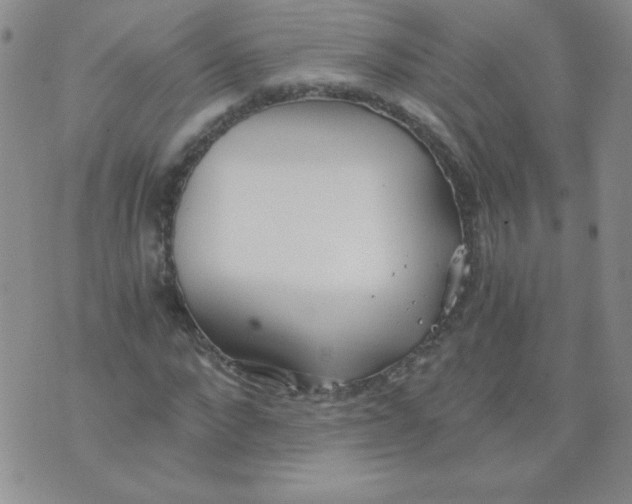 X0000073900872200609082145