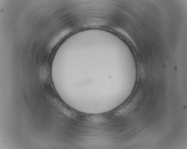 X0000073900874200609082145