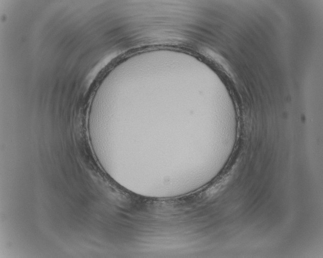 X0000073900875200609082145