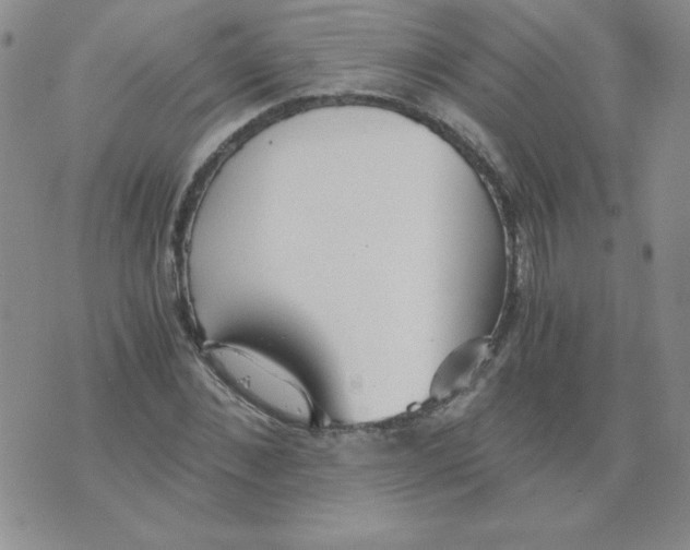 X0000073900876200609082145