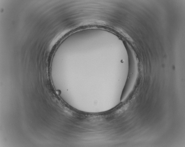 X0000073900877200609082145