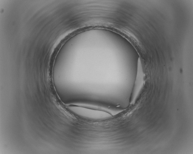 X0000073900880200609082145