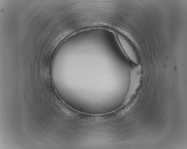 X0000073900881200609082145