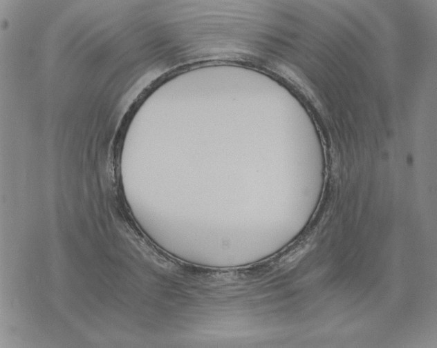 X0000073900883200609082145