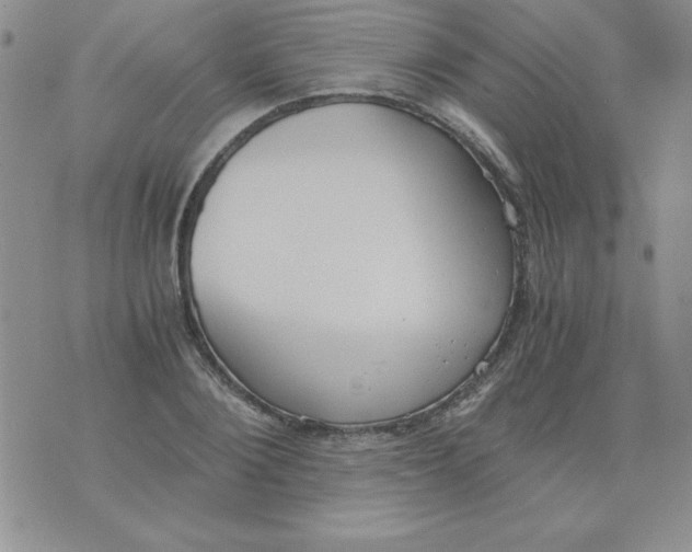 X0000073900884200609082145