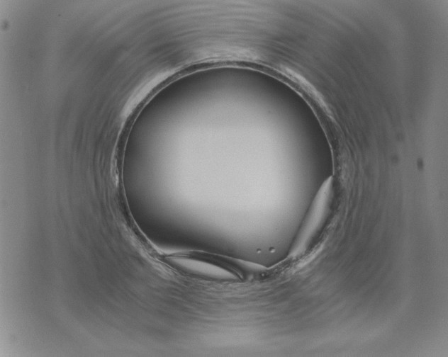 X0000073900885200609082145