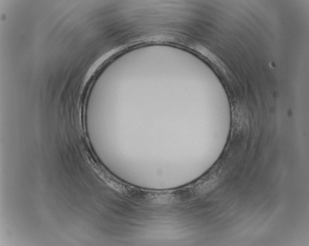 X0000073900886200609082145