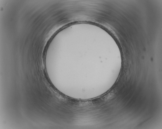 X0000073900887200609082145