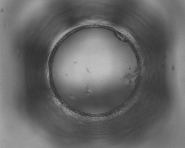 X0000073900888200609082145