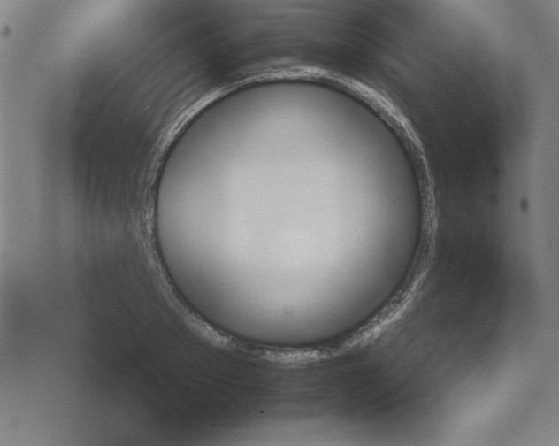 X0000073900889200609082145