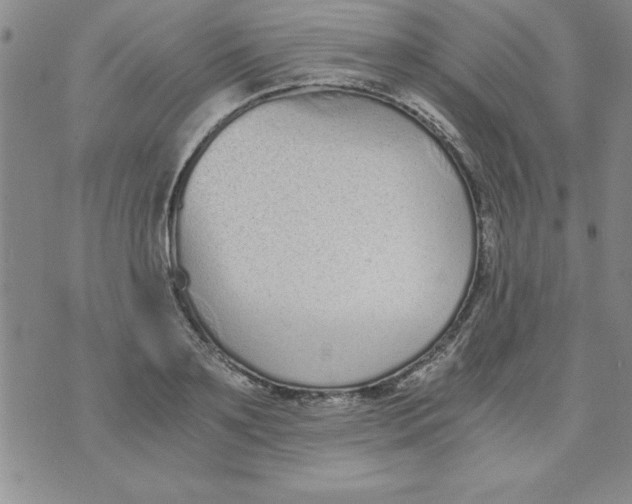 X0000073900891200609082145