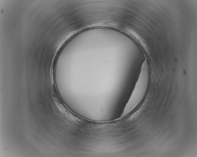 X0000073900892200609082145