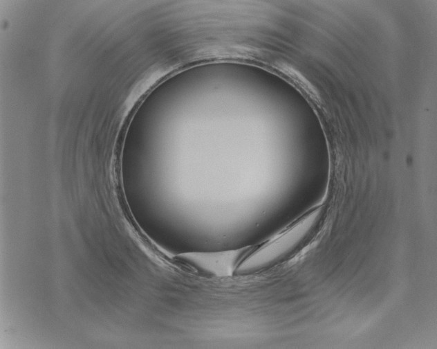 X0000073900893200609082145