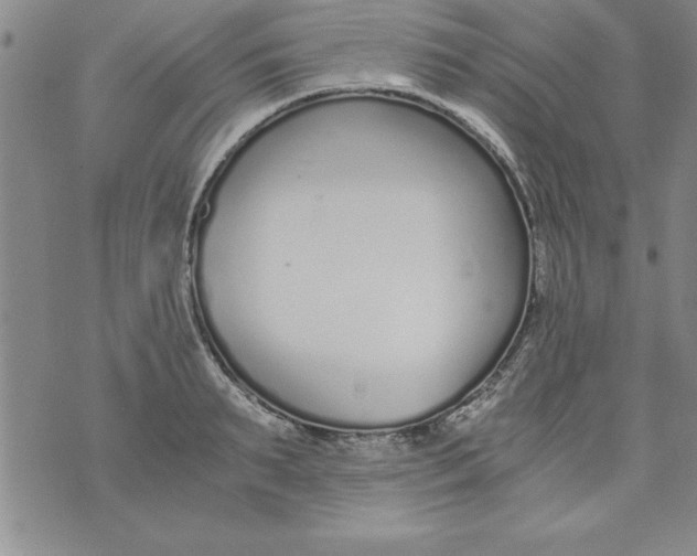 X0000073900895200609082145