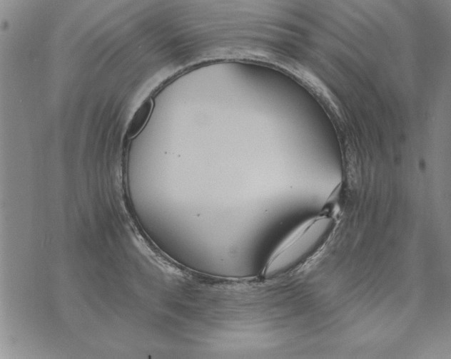 X0000073900896200609082145