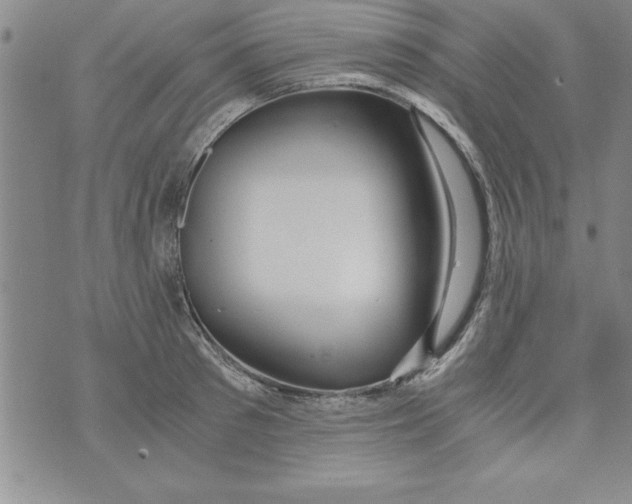 X0000073900897200609082145