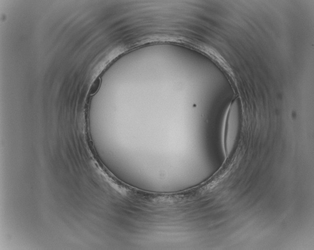 X0000073900898200609082145