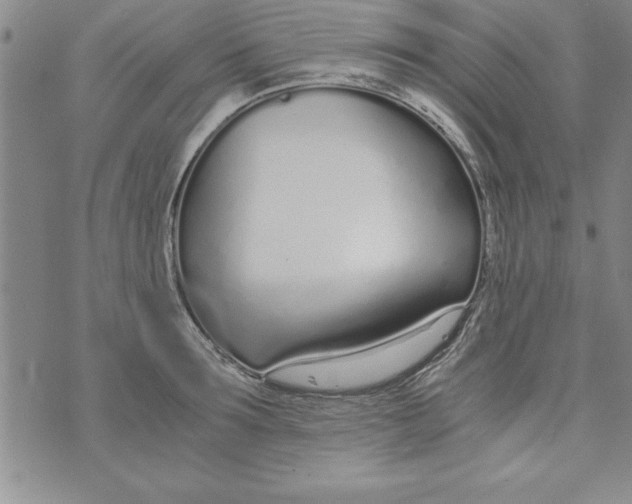 X0000073900899200609082145