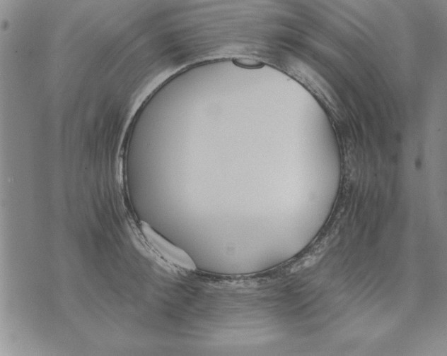 X0000073900900200609082145