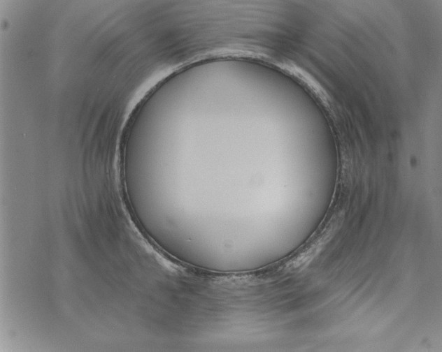 X0000073900902200609082145