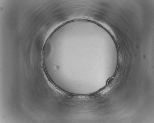 X0000073900903200609082145