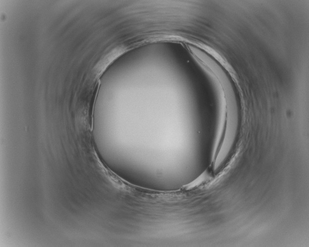 X0000073900905200609082145