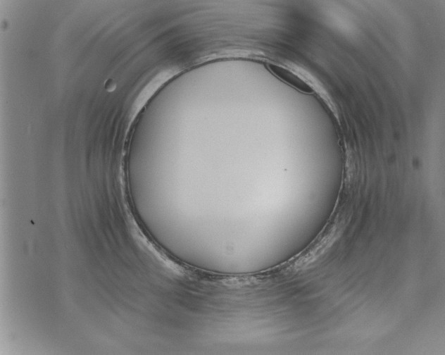 X0000073900906200609082145