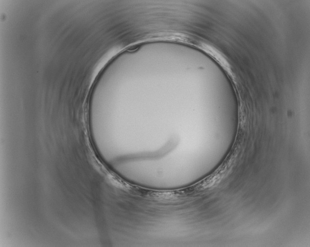 X0000073900907200609082145