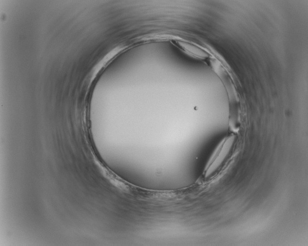 X0000073900909200609082145