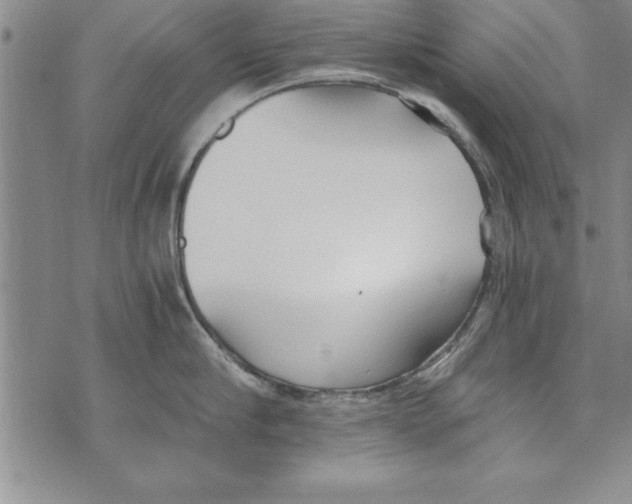 X0000073900910200609082144