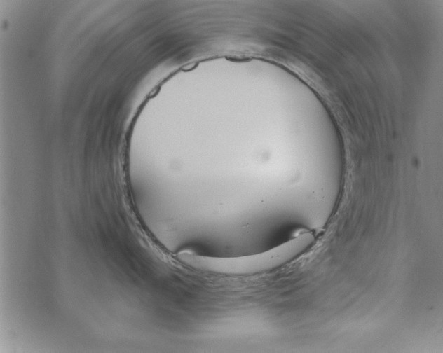 X0000073900912200609082144