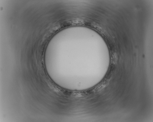 X0000073900913200609082144