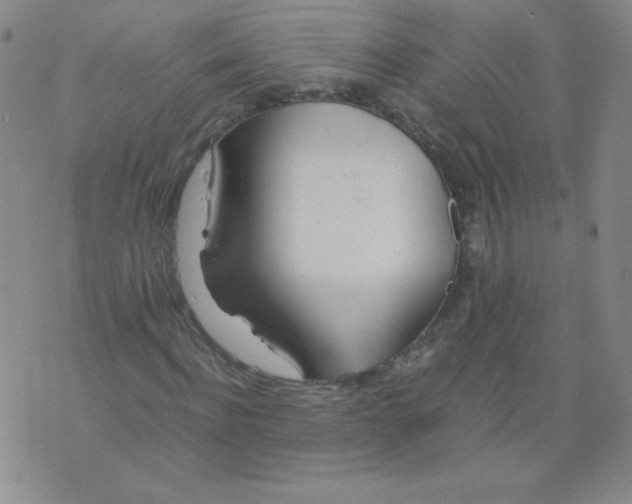 X0000073900916200609082144