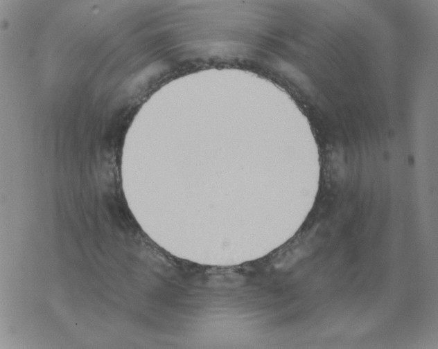 X0000073900918200609082144