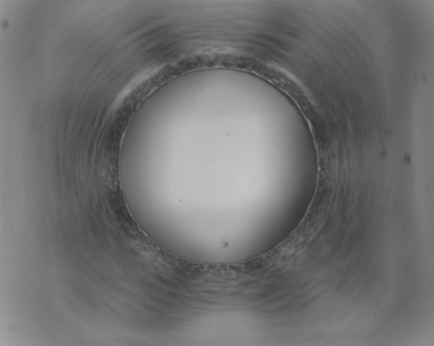 X0000073900919200609082144