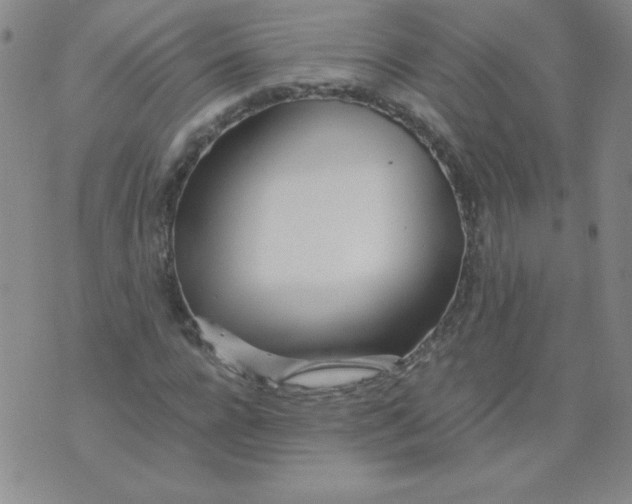 X0000073900920200609082144