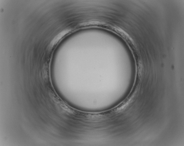 X0000073900921200609082144