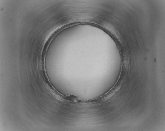 X0000073900924200609082144