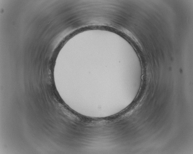 X0000073900926200609082144