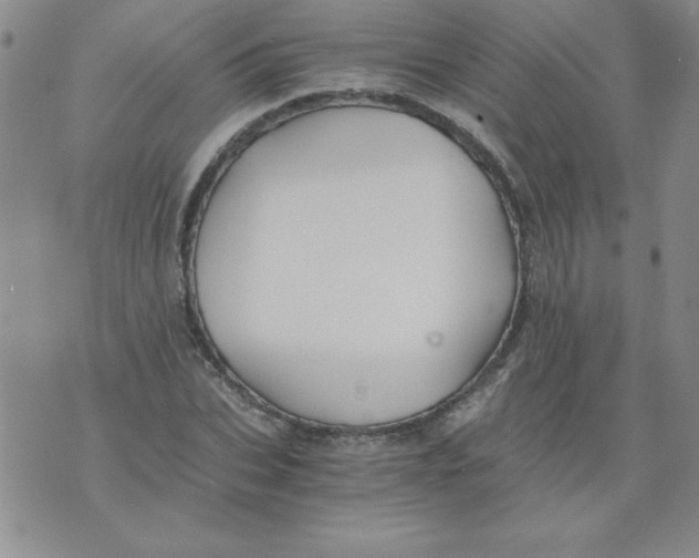 X0000073900927200609082144